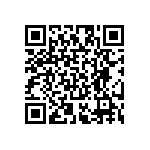 RT2010DKE076K04L QRCode