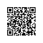 RT2010DKE07953RL QRCode