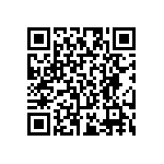 RT2010FKE0713R3L QRCode