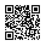 RT22C2P502 QRCode