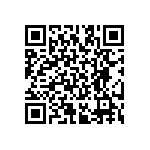 RT2512BKE07261RL QRCode