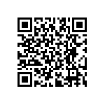 RT2512BKE07287RL QRCode