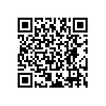 RT2512BKE078K06L QRCode