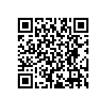 RT2512BKE07976RL QRCode