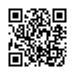 RT33K012 QRCode