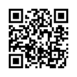 RT33L024 QRCode