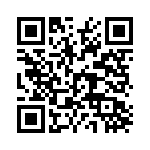 RT33L048 QRCode