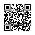 RT9169-13GVL QRCode