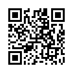 RT9480GQW QRCode
