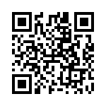 RT9527GQW QRCode