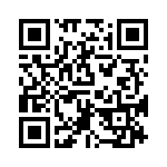 RT9595PGQW QRCode