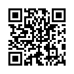 RT9728BLGE QRCode