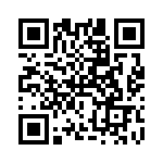 RT9742BGJ5F QRCode