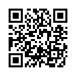 RT9807-30GB QRCode