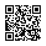 RT9941GQW QRCode
