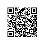 RWR81N30R1FRBSL QRCode