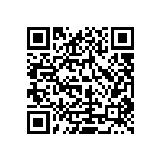 S912XEG384J3VAA QRCode