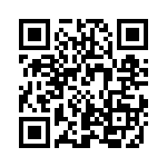 SBRF10100CT QRCode