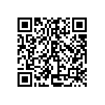 SIT1602BC-32-30E-33-333300Y QRCode