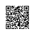 SIT2024BEBS-28E QRCode