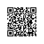 SMBG4734E3-TR13 QRCode