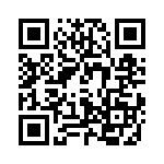 T101LH9V3BE QRCode