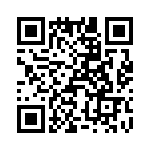 T37065-23-0 QRCode