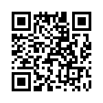 T37163-07-0 QRCode