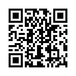 T38000-24-0 QRCode