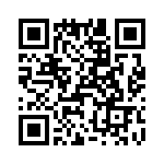 T38005-17-0 QRCode