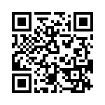 T38010-04-0 QRCode