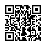 T38010-13-0 QRCode