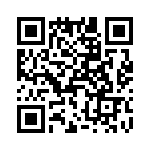 T38011-04-0 QRCode