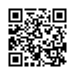 T38012-09-0 QRCode