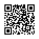 T38018-06-0 QRCode