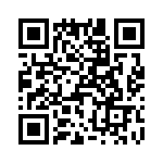 T38021-24-0 QRCode