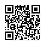 T38025-08-0 QRCode