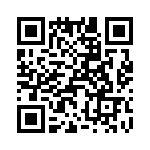 T38028-20-0 QRCode