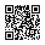 T38028-22-0 QRCode