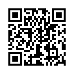 T38028-25-0 QRCode