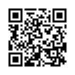 T38030-16-0 QRCode