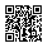 T38033-10-0 QRCode