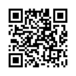 T38040-05-0 QRCode