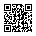 T38041-03-0 QRCode