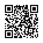 T38041-23-0 QRCode