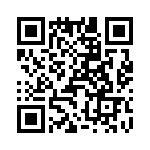 T38042-10-0 QRCode