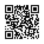 T38042-12-0 QRCode