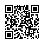 T38042-13-0 QRCode