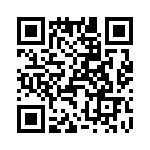 T38042-17-0 QRCode