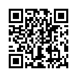 T38043-02-0 QRCode